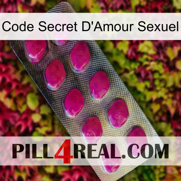 Sex Love Secret Code 09